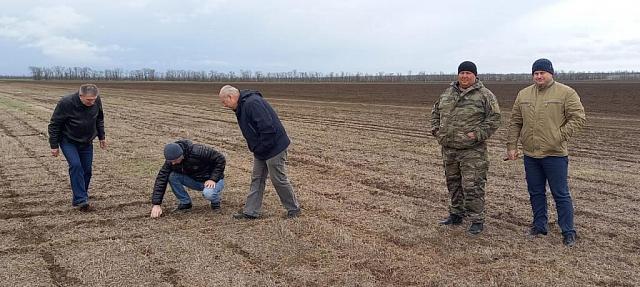 Ставропольские аграрии осваивают нулевую технологию обработки почвы