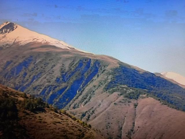 Целебный лес Дагестана «попал» на ТВ
