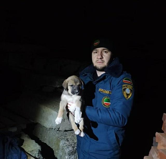 В Чечне работники пожарной части спасли из бетонного плена щенка