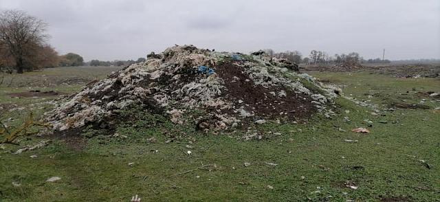 На Ставрополье обнаружили огромную свалку истлевших трупов животных
