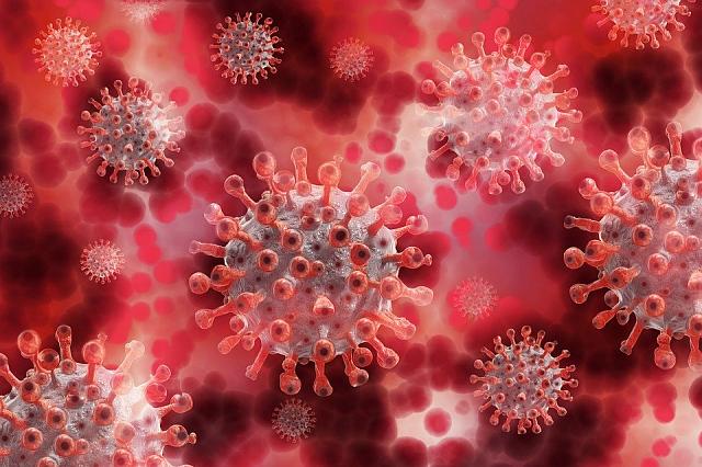 Пациенты с герпесом менее подвержены заражению коронавирусом