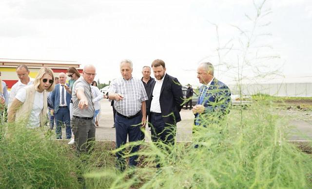 Орешкин предложил кормить спаржей туристов Северной Осетии