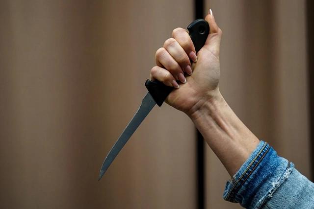 Пятиклассница лицея в Химках около 100 раз ударила ножом сверстницу