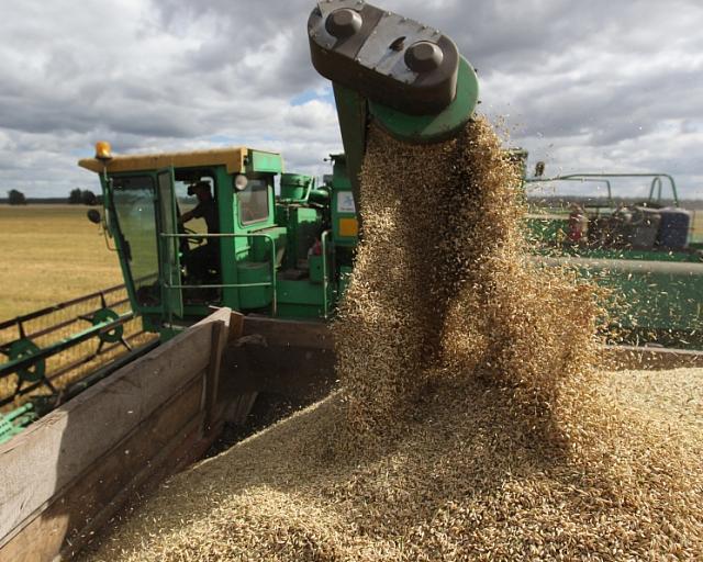 Карачаево-Черкесия ежегодно будет экспортировать до 100 тонн зерна