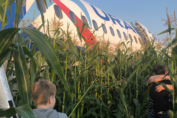 В прокат вышел фильм о чудесной посадке самолета на кукурузное поле