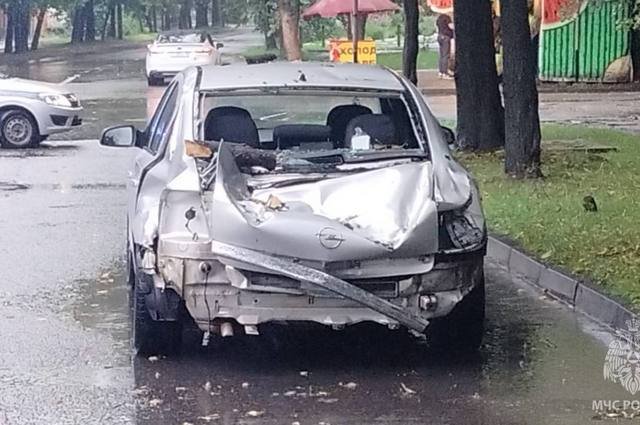 Спасатели Владикавказа вызволили мужчину из машины, придавленной деревом