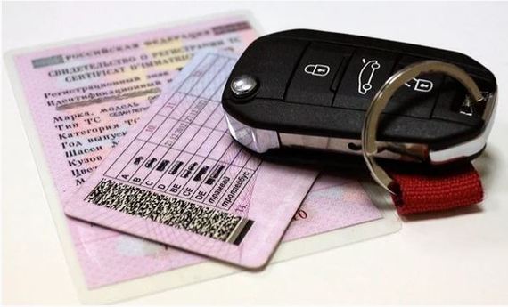 В РСО-А перед судом предстанет торговец поддельными водительскими удостоверениями