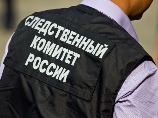 Следователи начали проверку после нападения собаки на женщину в Черкесске