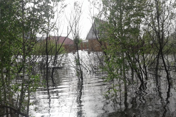 На Ставрополье реки Кубань и Большой Зеленчук затопили более 400 дачных участков   