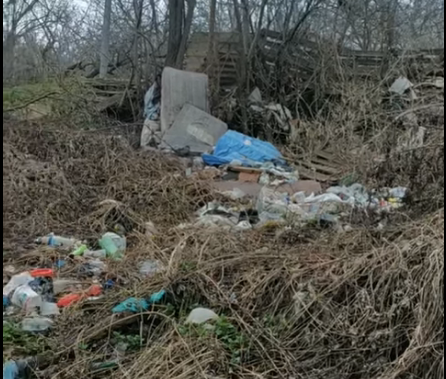 В Ставрополе стихийная мусорная свалка образовалась недалеко от Тифлисских ворот