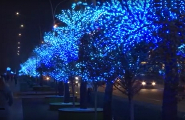 Светящиеся деревья в центре Ставрополя снова высасывают деньги из бюджета
