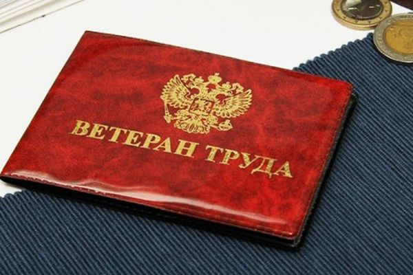 Многодетным жительницам Ставрополья с медалью «Материнская слава» присвоят звание «Ветеран труда»