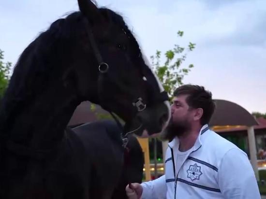 Поклонник из Германии подарил Кадырову лошадь