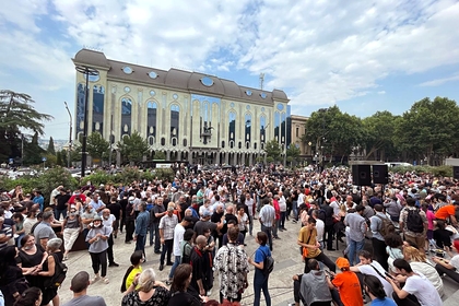  В Тбилиси несколько тысяч человек потребовали отставки премьера Ираклия Гарибашили 