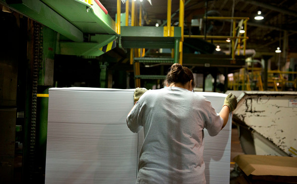ФАС устроит производителям бумаги проверку из-за роста цен 