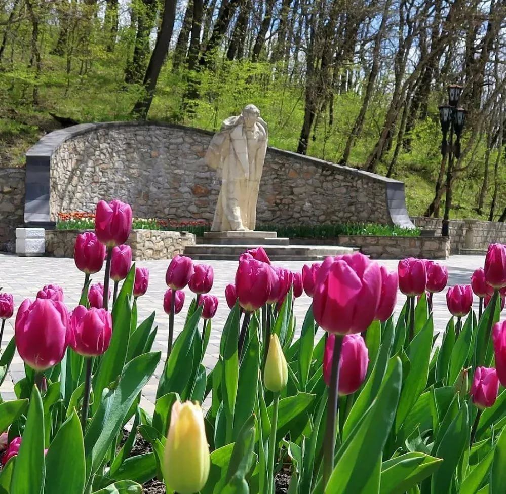 Парк цветник в Пятигорске тюльпаны