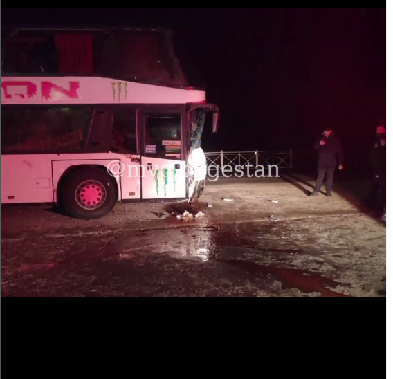 Автобус «Махачкала – Москва» попал в ДТП из-за коровы