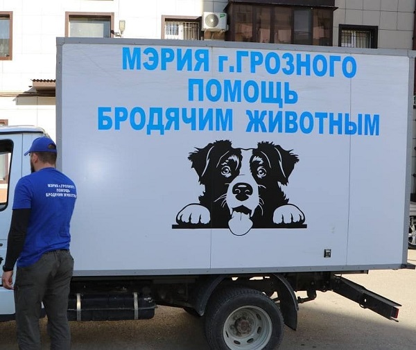 В Грозном специальная служба займется отловом бродячих собак