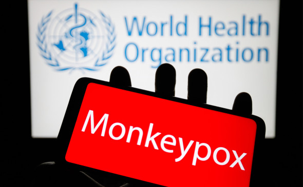 В ВОЗ назвали высоким риск завоза оспы обезьян в Россию 