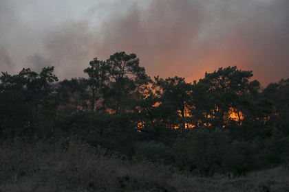 В Анталье из-за лесного пожара пострадали более 50 человек