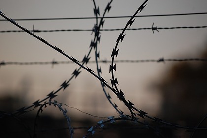 Данные о побеге шестерых заключенных в Луганской области не нашли никаких подтверждений