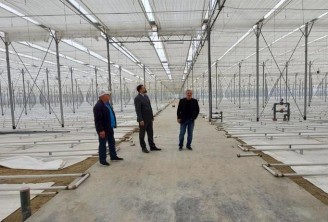 В Дагестане планируют выращивать еще больше «розовых» томатов 