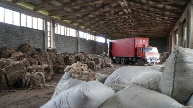 Власти Дагестана попросят господдержку на развитие переработки шерсти