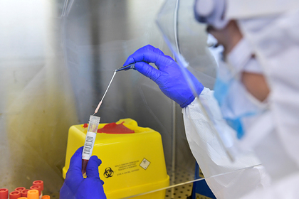Эксперты ВОЗ сочли маловероятным вариант лабораторной утечки коронавируса