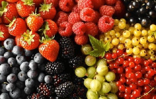 В КБР собрали рекордный урожай ягод почти в 5 тысяч тонн