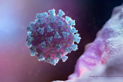 Инфекционист оценил шансы на полное прекращение циркуляции коронавируса