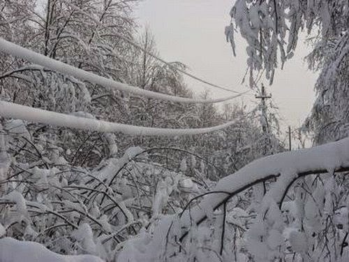 В Сочи снегопад оставил без электричества почти 12 тысяч человек