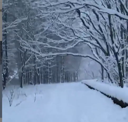 В Ставрополе прекратится снег и потеплеет