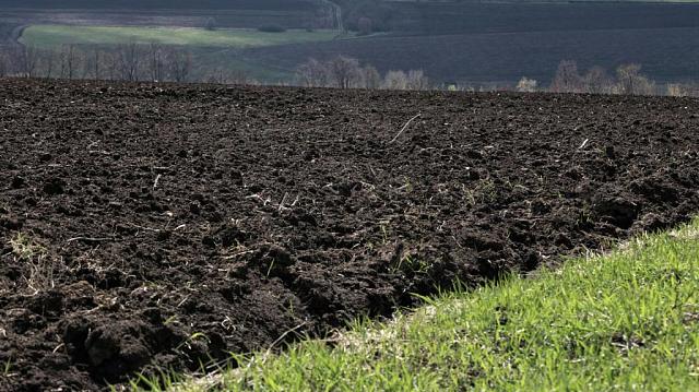 В КБР экс-глава администрации села по «липовым» документам сдал в аренду землю сельхозназначения