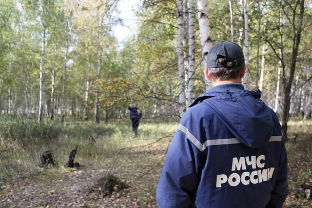 Четверых пропавших в лесу подростков разыскивают в КБР