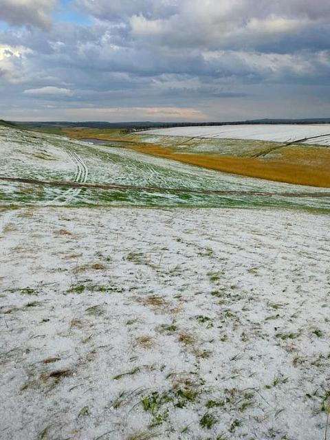 Причиной зловония от воды на Ставрополе могли стать удобрения с полей КЧР