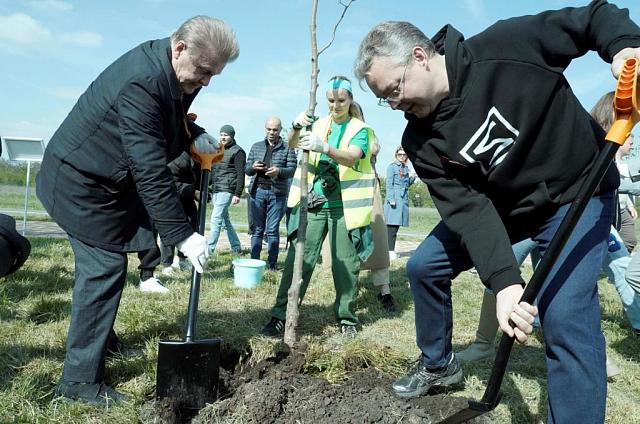 Губернатор Ставрополья и звезды эстрады помогли посадить 77 деревьев в «Саду памяти»