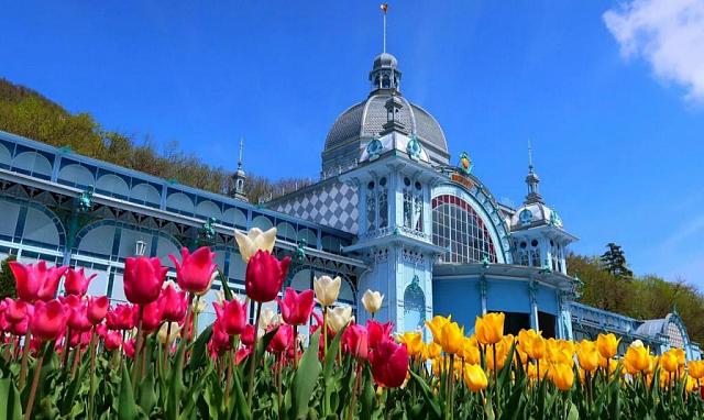 Железноводск стал одним из пяти лучших курортов России