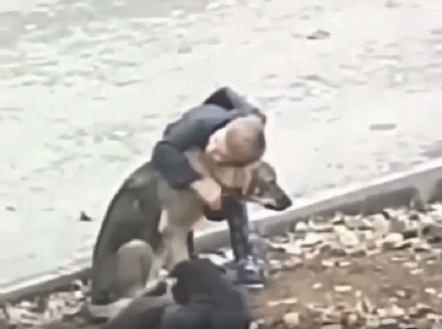 Мэр Грозного Кадыров поручил найти и наградить мальчика, обнимающего дворняг