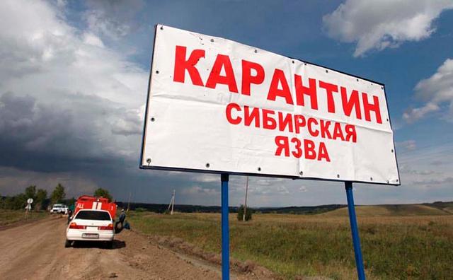 Власти Ставрополья из-за сибирской язвы ввели карантин ещё в трёх населённых пунктах