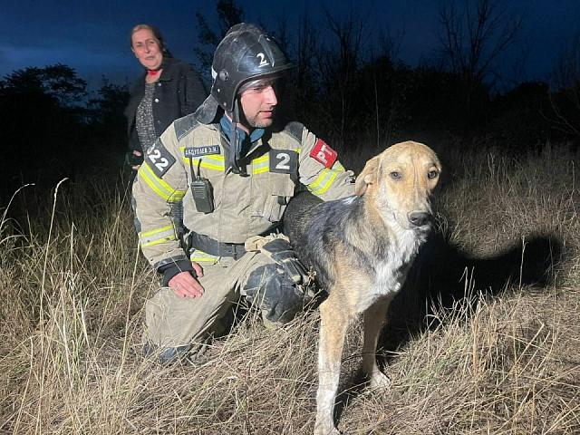 В Грозном пожарные вызволили собаку из десятиметровой ямы