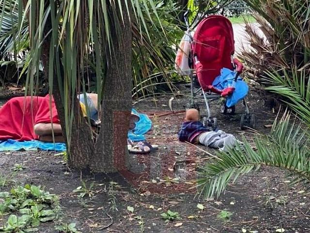 В Сочи задержали валявшихся в кустах пьяных родителей с младенцем
