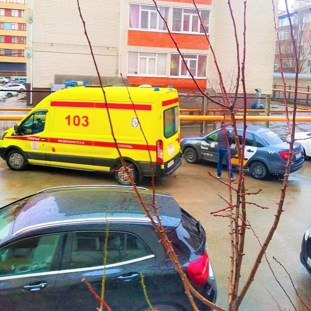 На Ставрополье подросток погиб в ДТП из-за того, что иномарка врезалась в дерево