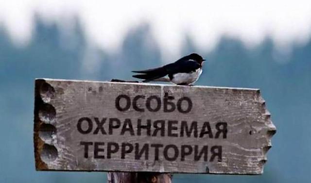 На сайте «Гринписа» активно голосуют против проекта депутатов из Ставрополья об изъятии земель ООПТ 