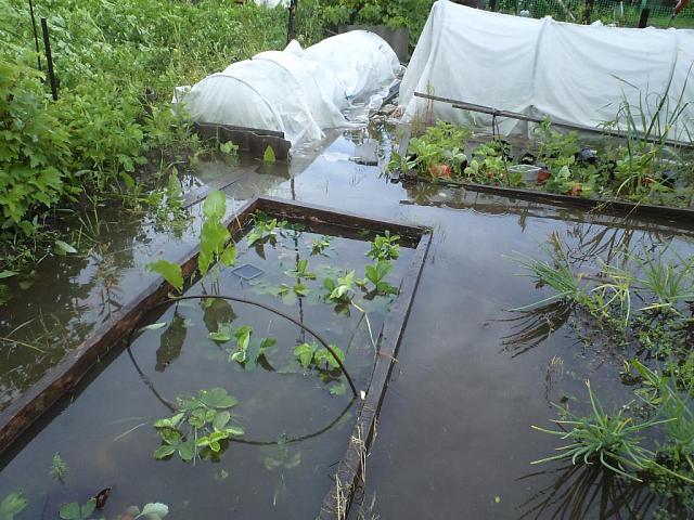 На Ставрополье из-за аварии на Невинномысском канале затопило дворы в селе