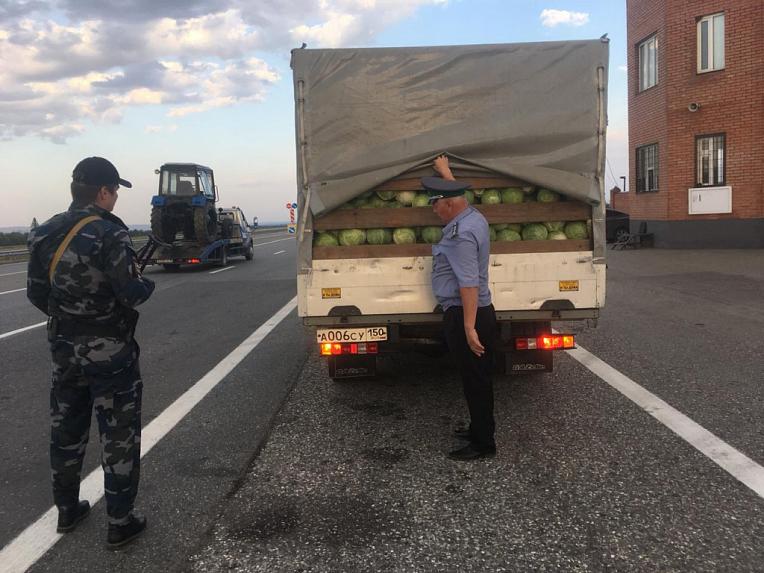 Управлением Россельхознадзора по Чеченской Республике остановлено 16 автотранспортных средств на границе
