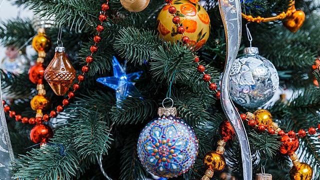 Жители Ставрополья предложили помочь военным вместо покупки елки почти за 47 млн рублей