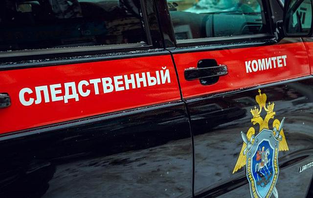 На Ставрополье предотвратили теракт, который готовил 18-летний молодой человек: видео 