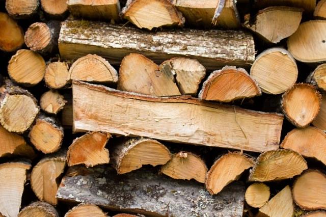 В Дагестане при поставке дров и угля для школ из бюджета похитили 3 млн рублей
