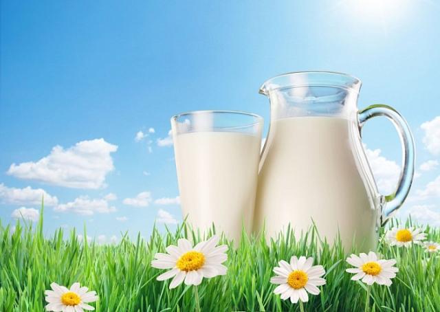 В Ставрополе провернули аферу с поставками молочки на 1,2 млн рублей