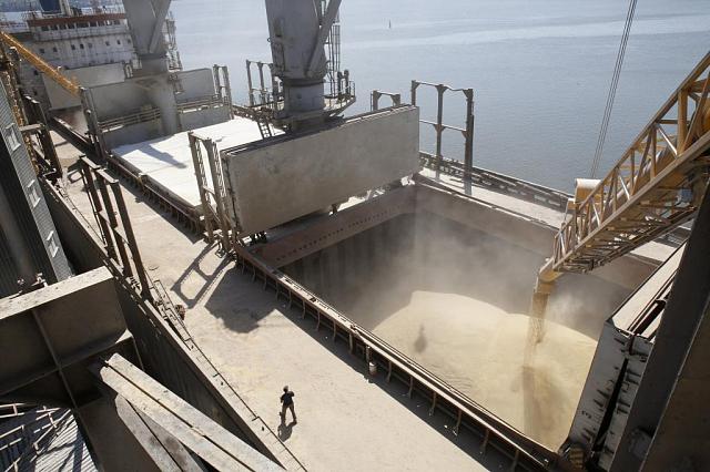 Ставропольское зерно отгрузили в Индонезию и Конго